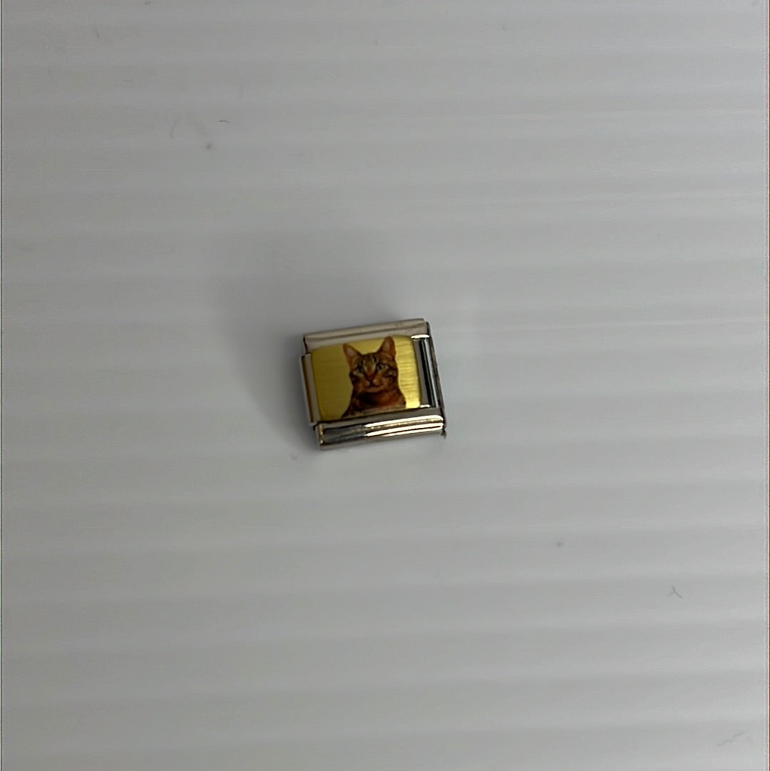 Cat Italian Link Charm