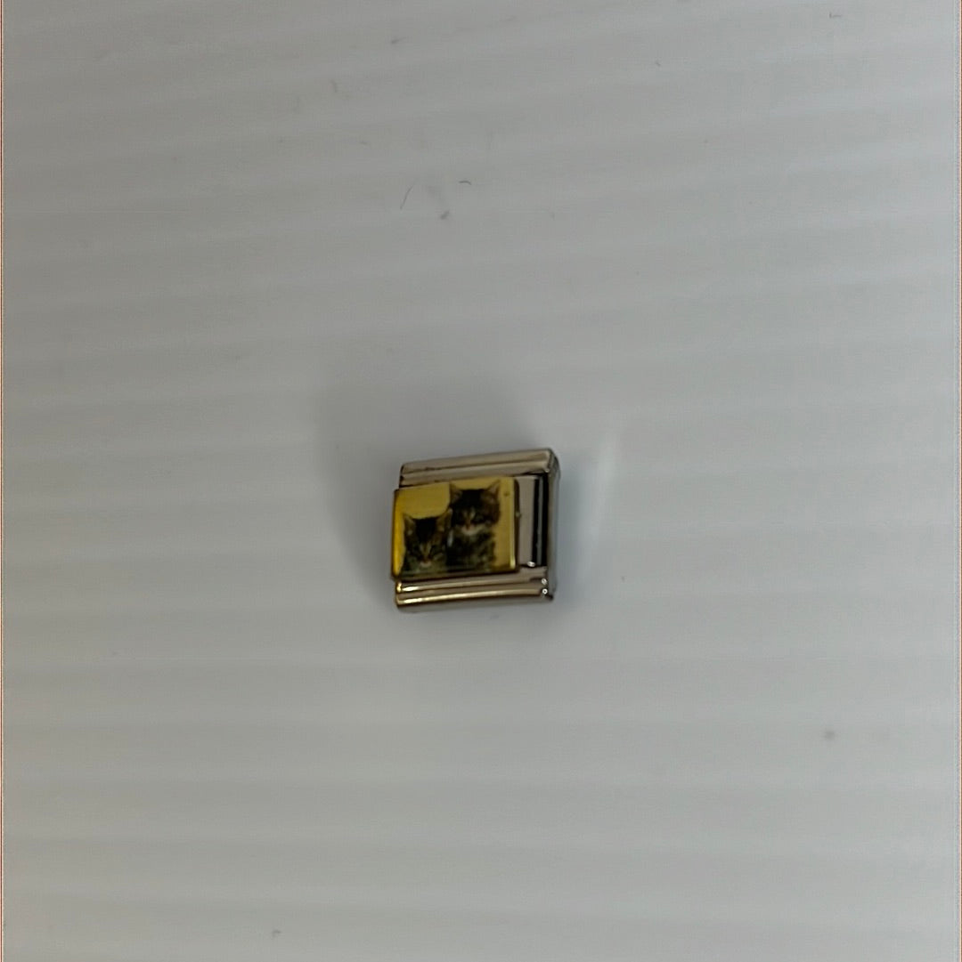 Kittens Italian Link Charm