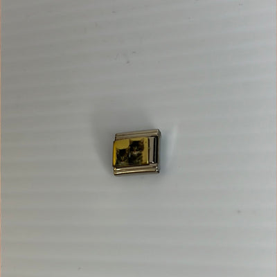 Kittens Italian Link Charm