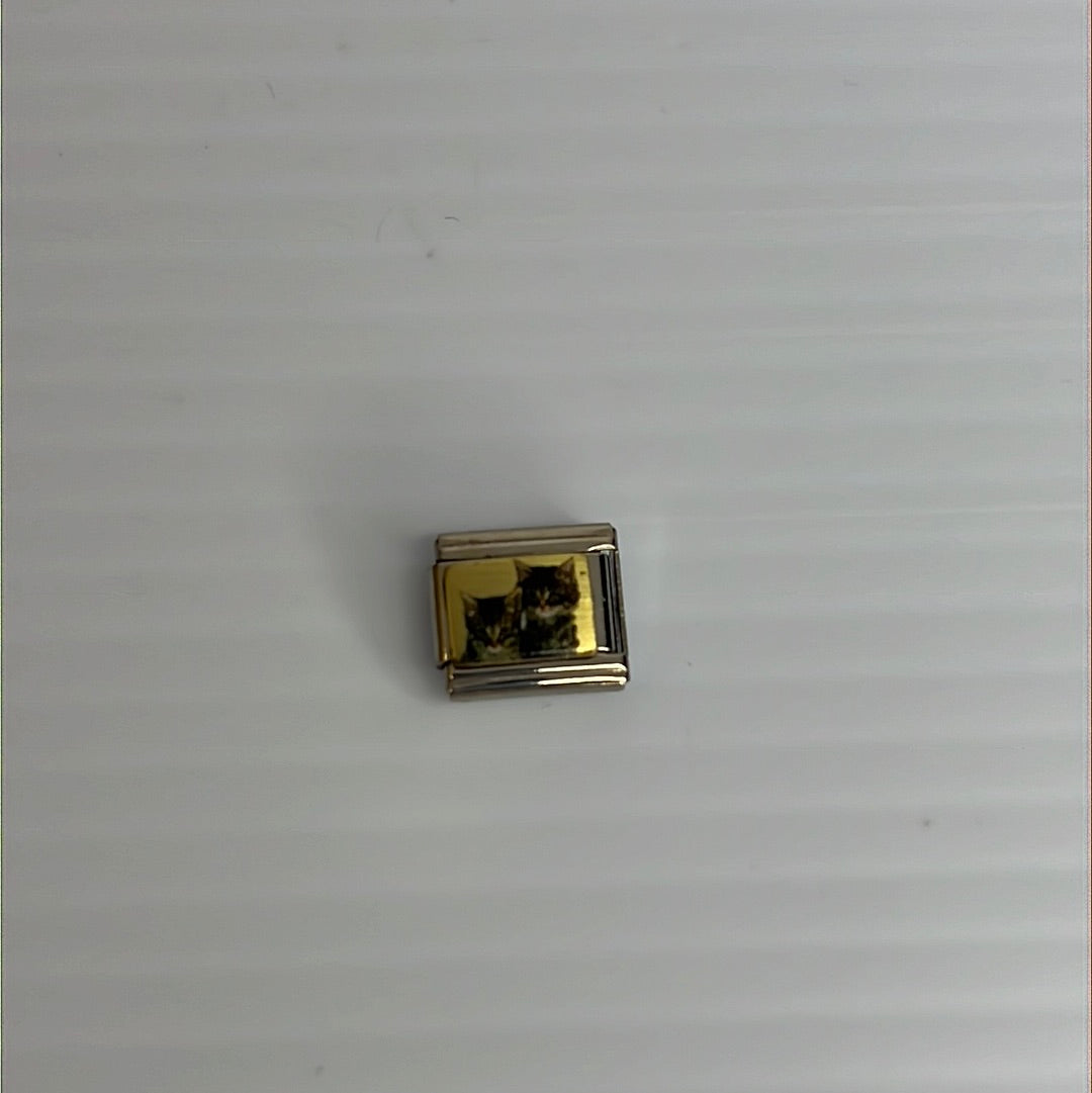 Kittens Italian Link Charm