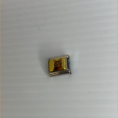 Cat Italian Link Charm